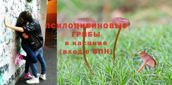 метадон Дмитриев