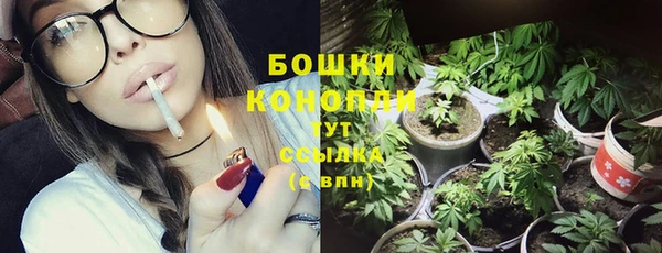 метадон Дмитриев
