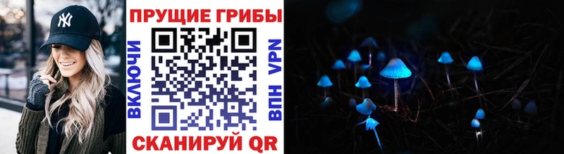 Галлюциногенные грибы MAGIC MUSHROOMS  omg   Кондрово  купить  
